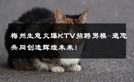 梅州生意火爆KTV招聘男模-邀您共同创造辉煌未来！ 