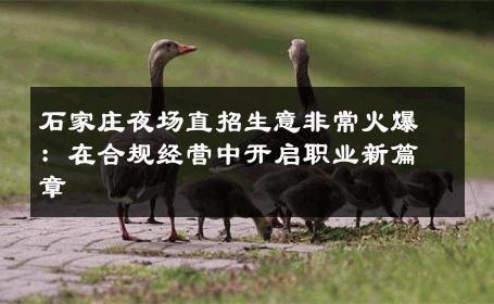 石家庄夜场直招生意非常火爆：在合规经营中开启职业新篇章 