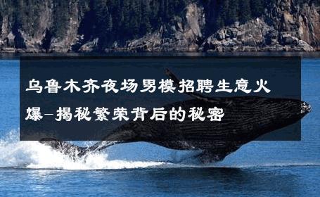 乌鲁木齐夜场男模招聘生意火爆-揭秘繁荣背后的秘密 