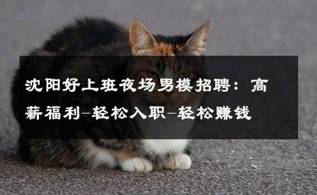 沈阳好上班夜场男模招聘：高薪福利-轻松入职-轻松赚钱 