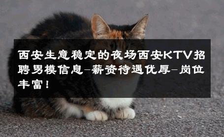 西安生意稳定的夜场西安KTV招聘男模信息-薪资待遇优厚-岗位丰富！ 