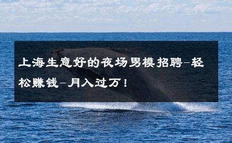 上海生意好的夜场男模招聘-轻松赚钱-月入过万！ 