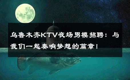 乌鲁木齐KTV夜场男模招聘：与我们一起奏响梦想的篇章！ 