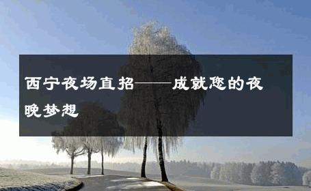 西宁夜场直招——成就您的夜晚梦想 