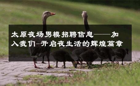 太原夜场男模招聘信息——加入我们-开启夜生活的辉煌篇章 