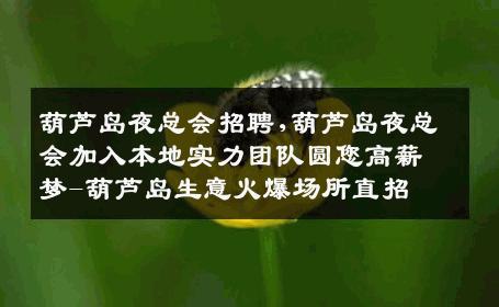 葫芦岛夜总会招聘,葫芦岛夜总会加入本地实力团队圆您高薪梦-葫芦岛生意火爆场所直招