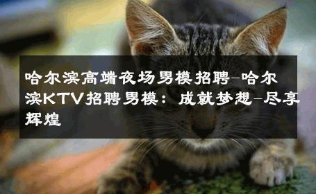 哈尔滨高端夜场男模招聘-哈尔滨KTV招聘男模：成就梦想-尽享辉煌 