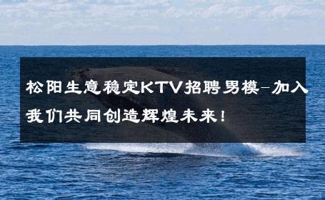 松阳生意稳定KTV招聘男模-加入我们共同创造辉煌未来！ 