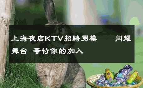 上海夜店KTV招聘男模——闪耀舞台-等待你的加入 
