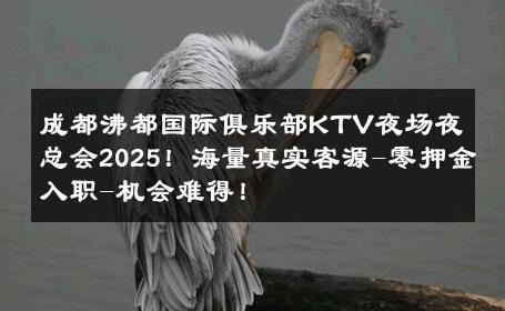成都沸都国际俱乐部KTV夜场夜总会2025！海量真实客源-零押金入职-机会难得！ 