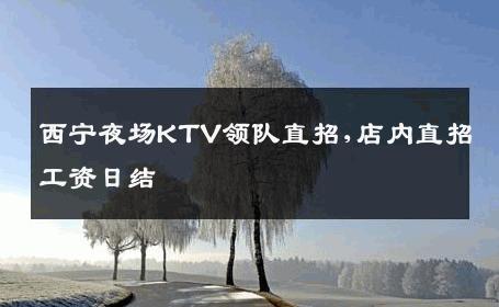 西宁夜场KTV领队直招,店内直招工资日结 