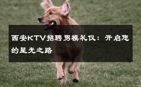 西安KTV招聘男模礼仪：开启您的星光之路 