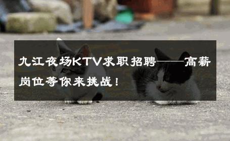 九江夜场KTV求职招聘——高薪岗位等你来挑战！ 