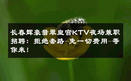 长春辉豪翡翠皇宫KTV夜场兼职招聘：拒绝套路-免一切费用-等你来！ 