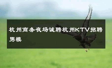 杭州商务夜场诚聘杭州KTV招聘男模 