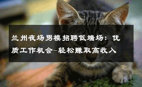 兰州夜场男模招聘低端场：优质工作机会-轻松赚取高收入 