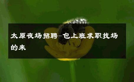 太原夜场招聘-包上班求职找场的来 