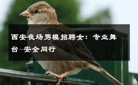 西安夜场男模招聘女：专业舞台-安全同行 