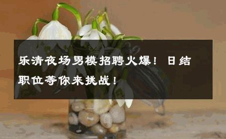乐清夜场男模招聘火爆！日结职位等你来挑战！ 