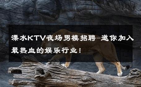 溧水KTV夜场男模招聘-邀你加入最热血的娱乐行业！ 