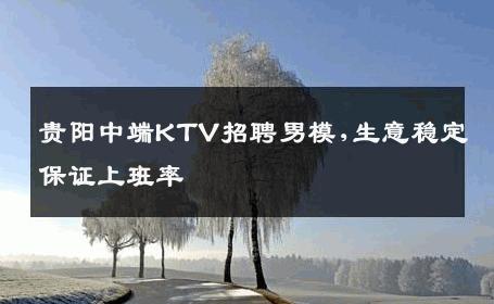 贵阳中端KTV招聘男模,生意稳定保证上班率 