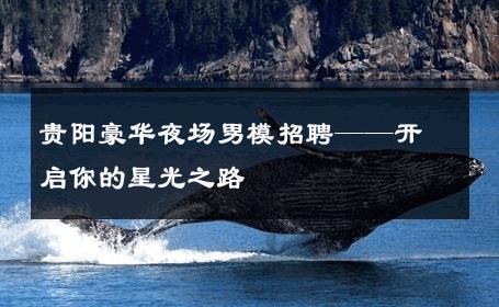 贵阳豪华夜场男模招聘——开启你的星光之路 