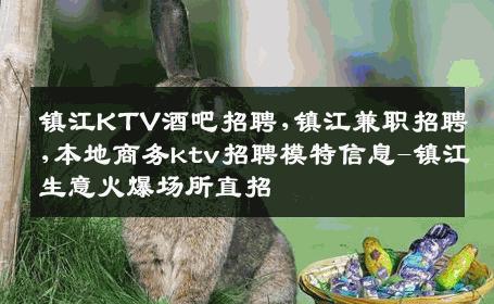 镇江KTV酒吧招聘,镇江兼职招聘,本地商务ktv招聘模特信息-镇江生意火爆场所直招