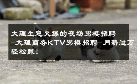 大理生意火爆的夜场男模招聘-大理商务KTV男模招聘-月薪过万轻松赚！ 