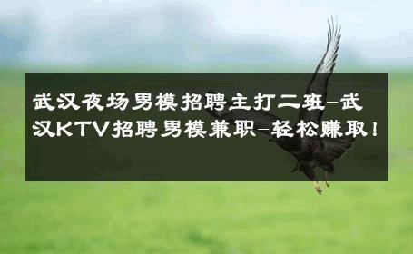 武汉夜场男模招聘主打二班-武汉KTV招聘男模兼职-轻松赚取！ 