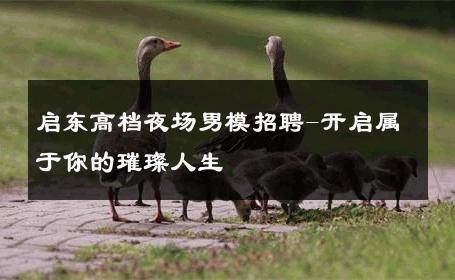 启东高档夜场男模招聘-开启属于你的璀璨人生 