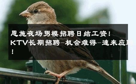 恩施夜场男模招聘日结工资！KTV长期招聘-机会难得-速来应聘！ 