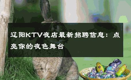 辽阳KTV夜店最新招聘信息：点亮你的夜色舞台 