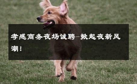孝感商务夜场诚聘-掀起夜新风潮！ 