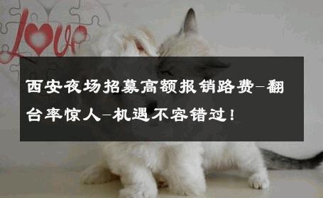 西安夜场招募高额报销路费-翻台率惊人-机遇不容错过！ 