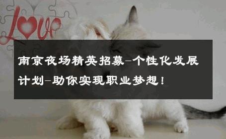 南京夜场精英招募-个性化发展计划-助你实现职业梦想！ 