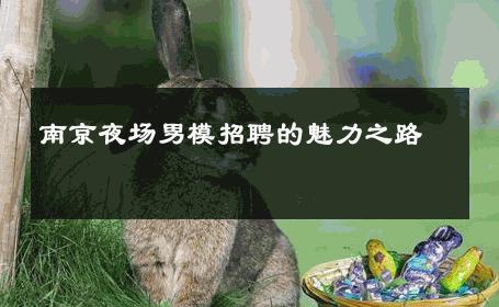 南京夜场男模招聘的魅力之路 