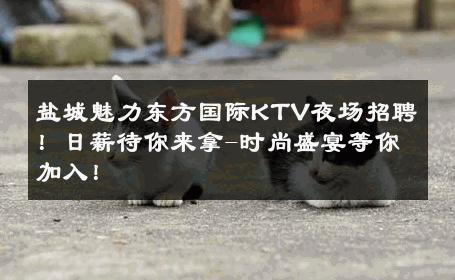 盐城魅力东方国际KTV夜场招聘！日薪待你来拿-时尚盛宴等你加入！ 