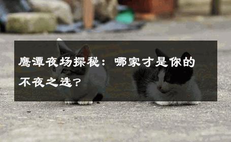 鹰潭夜场探秘：哪家才是你的不夜之选？ 