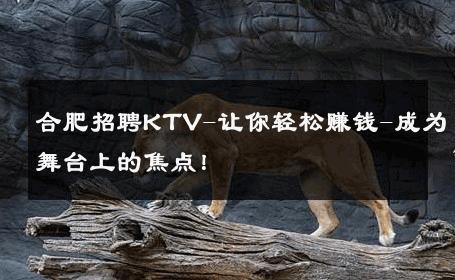 合肥招聘KTV-让你轻松赚钱-成为舞台上的焦点！ 