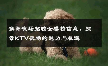 濮阳夜场招聘女模特信息，探索KTV夜场的魅力与机遇