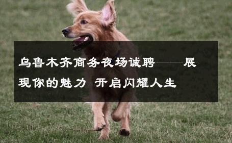 乌鲁木齐商务夜场诚聘——展现你的魅力-开启闪耀人生 
