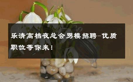 乐清高档夜总会男模招聘-优质职位等你来！ 