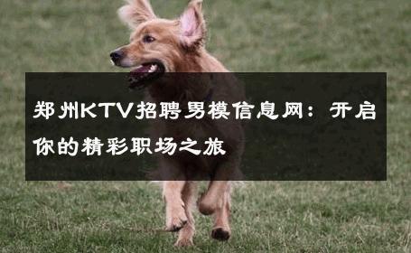 郑州KTV招聘男模信息网：开启你的精彩职场之旅 