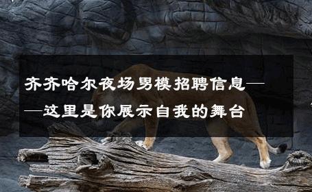 齐齐哈尔夜场男模招聘信息——这里是你展示自我的舞台 