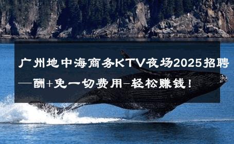 广州地中海商务KTV夜场2025招聘—酬+免一切费用-轻松赚钱！ 