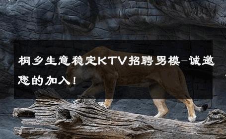 桐乡生意稳定KTV招聘男模-诚邀您的加入！ 