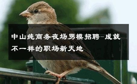 中山纯商务夜场男模招聘-成就不一样的职场新天地 