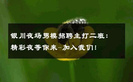 银川夜场男模招聘主打二班：精彩夜等你来-加入我们！ 