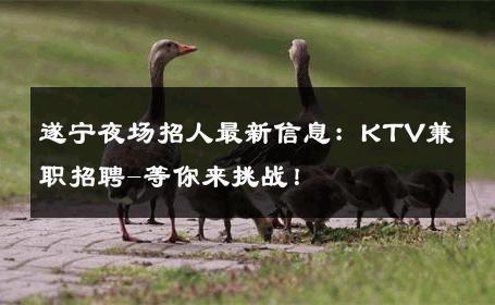遂宁夜场招人最新信息：KTV兼职招聘-等你来挑战！ 