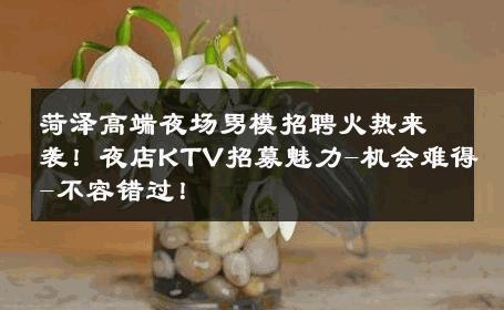 菏泽高端夜场男模招聘火热来袭！夜店KTV招募魅力-机会难得-不容错过！ 